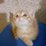  Дмитрий . on My World.
