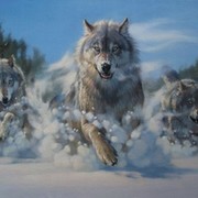 Белые волки группа в Моем Мире.