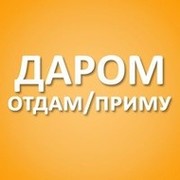 Отдам даром в Хабаровске группа в Моем Мире.