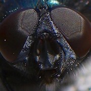 Macro club группа в Моем Мире.