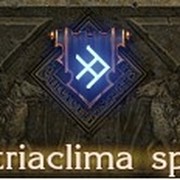 Metriaclima spec. группа в Моем Мире.