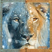 • Narnia • Нарния • group on My World