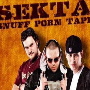 Sekta