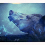 Alja Grushevaja on My World.
