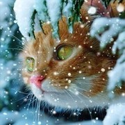 Евгения ..... on My World.