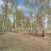 Никита Никита on My World.