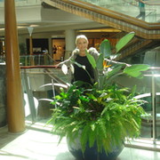 Елена Раскатова on My World.