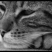 Татьяна Т. on My World.