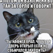 КОТ КОТОВ НФ on My World.