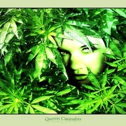 Оля *** on My World.