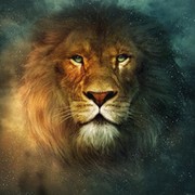 Андрей Безфамильный on My World.