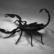 Scorpion ☾★ Abu-Mokhmad on My World.