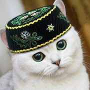 Марат Асхаров on My World.
