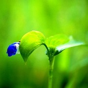 Галина Подковка on My World.