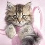 ОльгаНФ ,,, on My World.