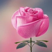 Аяулым Жанайдаркызы on My World.