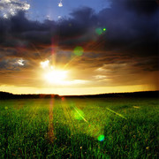 С. У. on My World.