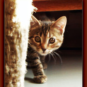 Гала фОТОВА*** on My World.