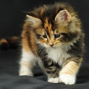 Людмила =) on My World.