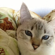 Оксана Нищёта on My World.