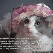 Ирина Шарина on My World.