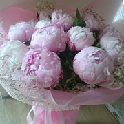 Ирина Криницына on My World.