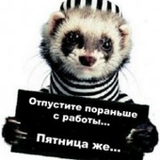 Василий Кравцов on My World.