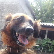 Лаукарт КЛ Сергей on My World.