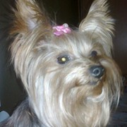 Анна Гусева on My World.
