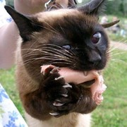 Cepeжka Сударев on My World.