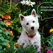 Виталий Простаков on My World.