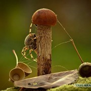 Денис Захаров on My World.