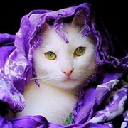 Наталья Лоскутникова on My World.