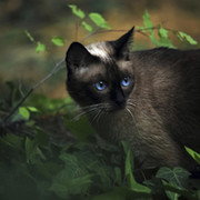 Олеся Умерзакова on My World.