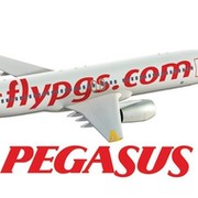 pegasusticket pegasusticket on My World.