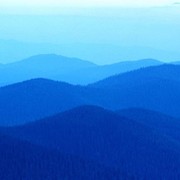 Александр Трубников on My World.