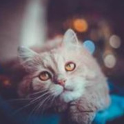 Татьяна Прокошева on My World.