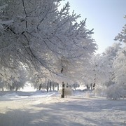 Раушан Уанбаева on My World.
