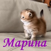 Марина Сканди on My World.