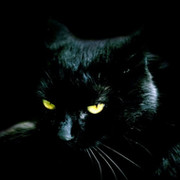 Оксана ШАЙТАНОВА on My World.