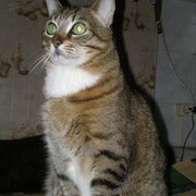 Сергей Кашин on My World.