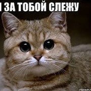 Дон Дигидон on My World.