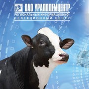 Уралплемцентр. Уралплемцентр Екатеринбург. Уралплемцентр Екатеринбург официальный сайт. Уралплемцентр логотип. Мымрин Уралплемцентр.
