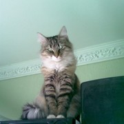 Михаил Васильев ЗФ МП Э on My World.