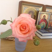 Ольга Зорина on My World.